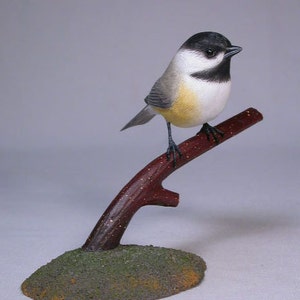 Puede incluir: Una escultura de pájaro de madera tallada a mano de un carbonero posado en una rama. El pájaro está pintado en colores realistas, con plumas negras, blancas y amarillas. La rama está pintada de marrón y tiene una base verde.