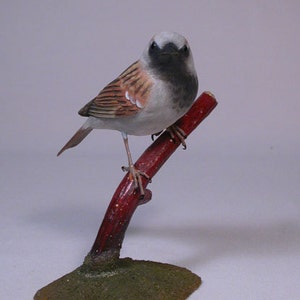 House Sparrow on branch Hand Carved Wooden Songbird