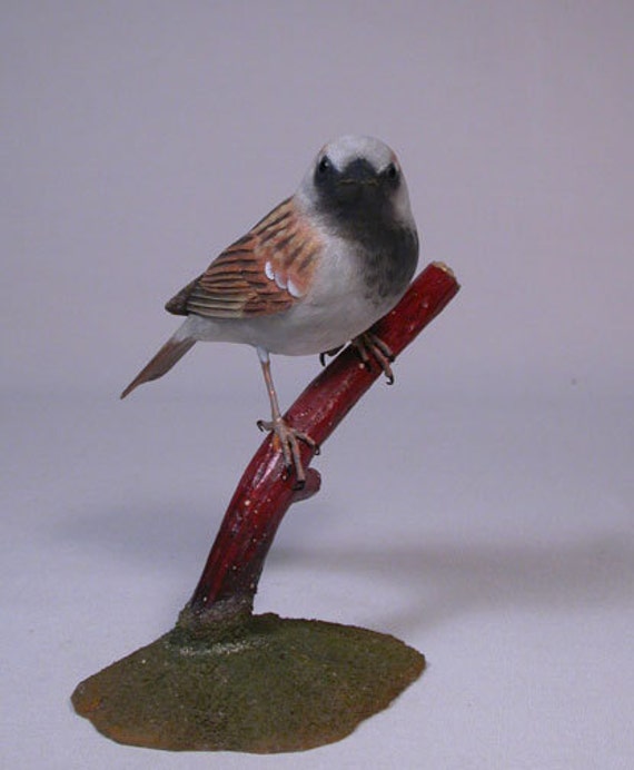 Gorrión de la en la Pájaro cantor de madera - Etsy España