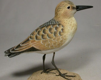 Baird Sandpiper Water Bird Wood Carving Decoy