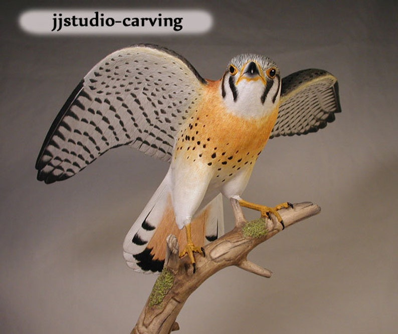 Open-winged American Kestrel male Hand Carved Wooden Bird Carving image 2