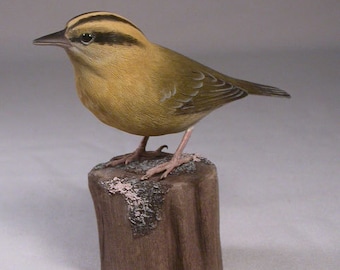 Worm-eating Warbler Hand Carved and Hand Painted Wooden Bird