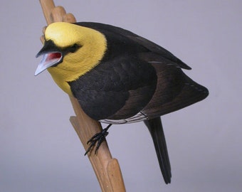 Yellow-headed Blackbird Hand Carved Wooden Bird