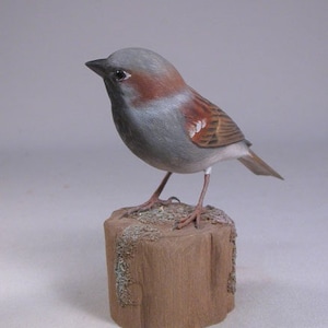 House Sparrow Hand Carved Wooden Songbird
