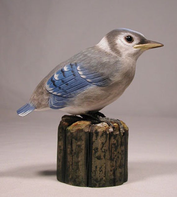 Baby Blue Jay Original Wood Carving Etsy
