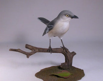 Northern Mockingbird Wooden carved Bird Carving