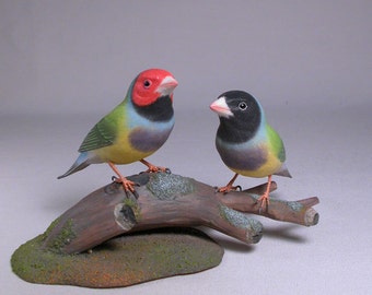 Gouldian Finch Pair Hand Carved Wooden Bird