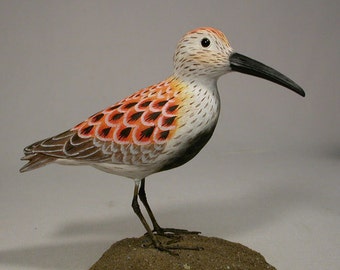 8" Dunlin Hand Carved Wooden Water Bird