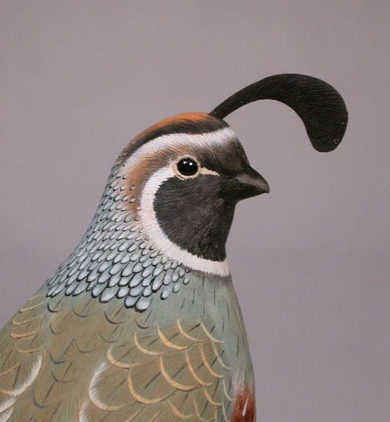 Gambel's Quail Hand Carved Wooden Bird Carving | Etsy