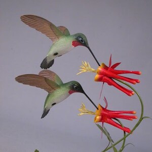 Open-winged Ruby-throated Hummingbird Pair image 2