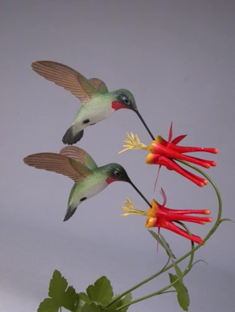 Open-winged Ruby-throated Hummingbird Pair image 2