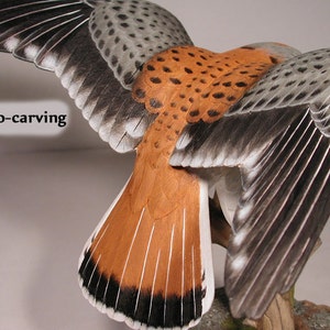 Open-winged American Kestrel male Hand Carved Wooden Bird Carving image 4