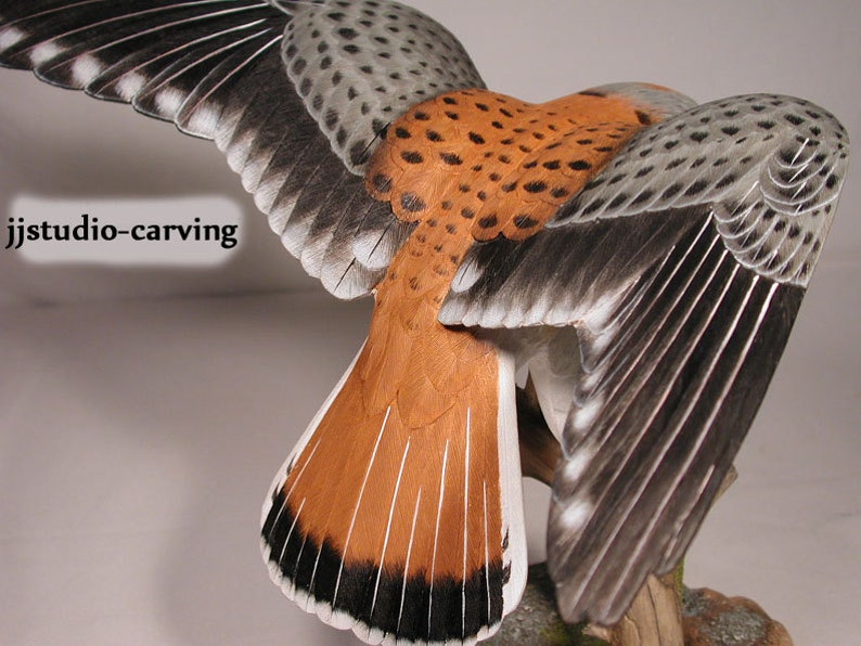 Open-winged American Kestrel male Hand Carved Wooden Bird Carving image 4