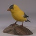 see more listings in the songbird carvings section