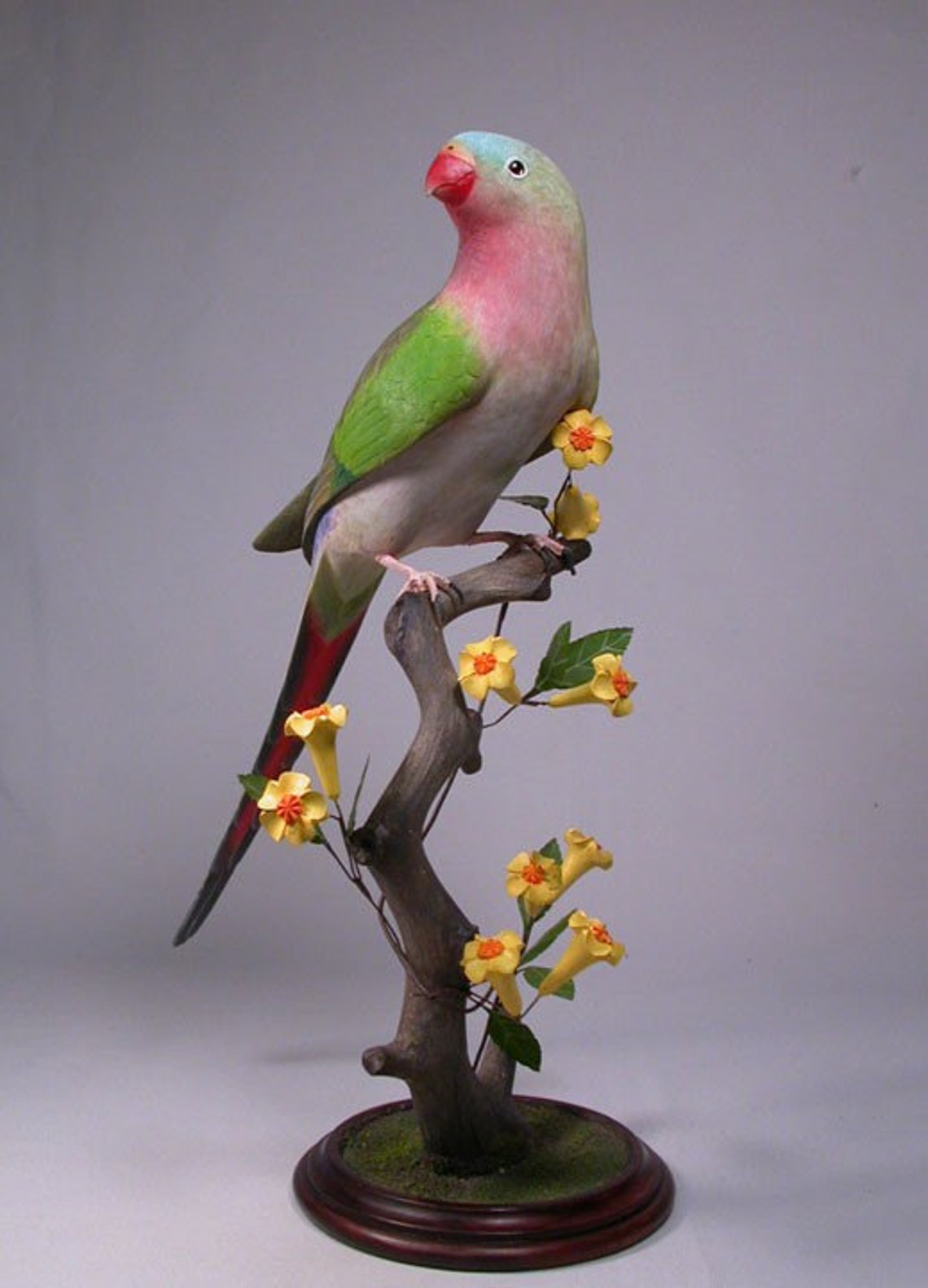 15 Inches Princess of Wales Parakeet Hand Carved Wooden Bird Carving Etsy