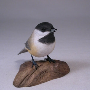 Svarthättad chickadee på handskuren träbas