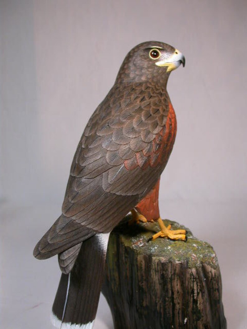10 1/2 Harris's Hawk Hand Carved Wooden Bird Carving Etsy