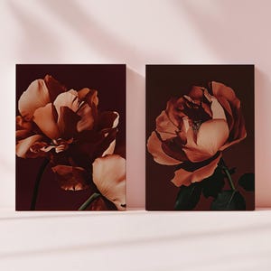 Conjunto de dos carteles de rosas dramáticas, arte de pared con motivos florales oscuros, fotografías de rosas melancólicas, decoración elegante para el hogar, obra de arte romántica, descarga digital