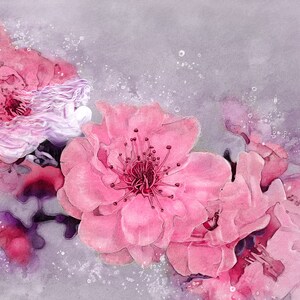 Shimmirian - Cherry Blossom Spirit by Susan Schroder -  fine art print