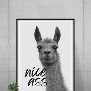 Funny Llama Poster &quot;Nice Ass&quot; – Black and White Animal Picture, Humorous Wall Art, Farmhouse Art, Funny Bathroom Decor, Digital Download