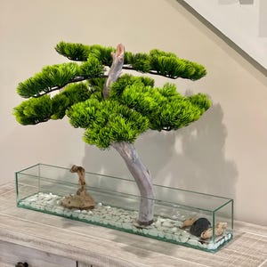 Bonsai forever