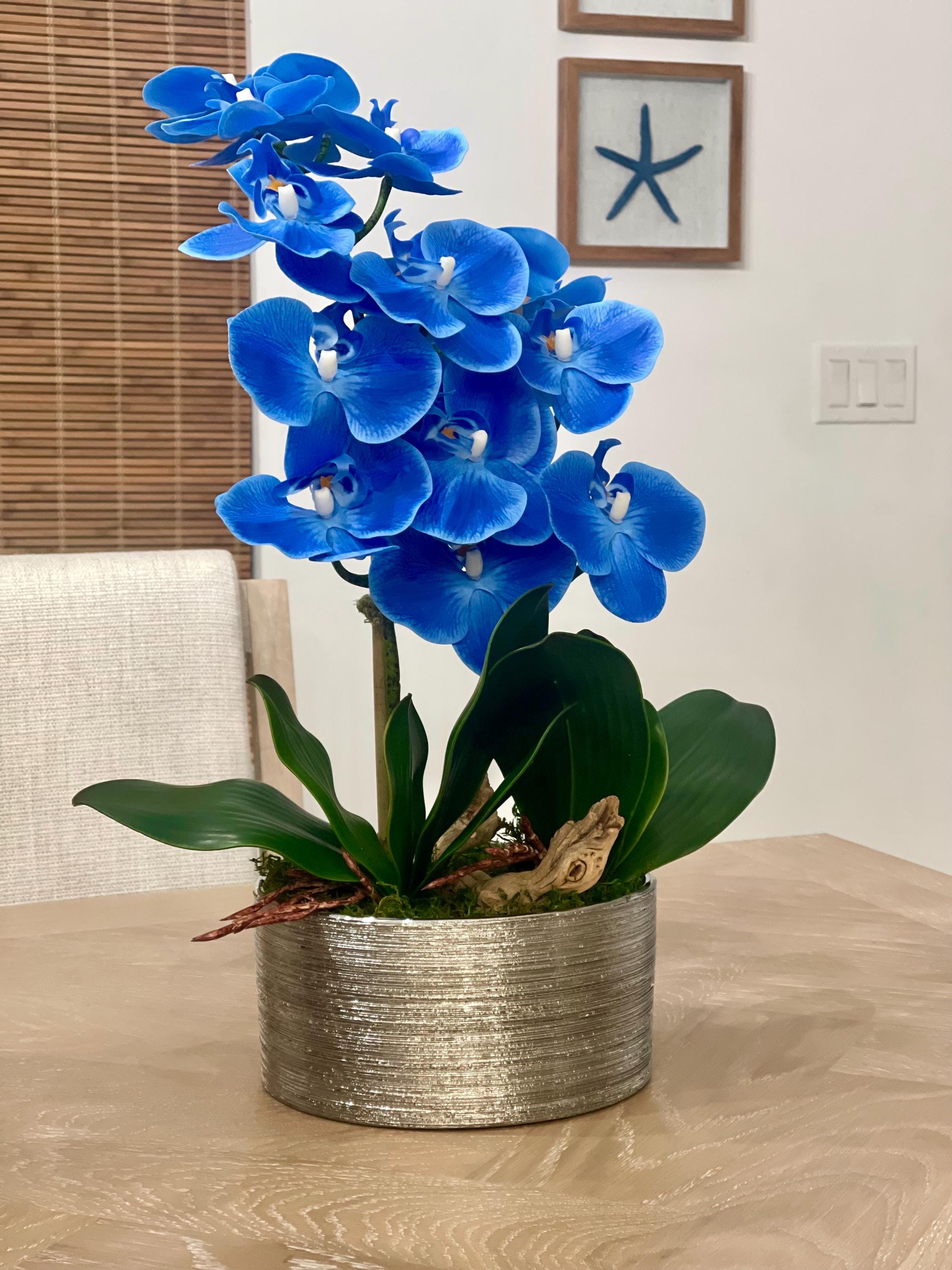 teleskopstange blumenkasten BAOYOUNI 7-Ebenen Teleskop Blumenregal Blumentreppe Pflanzenständer In –  techstudio.ch