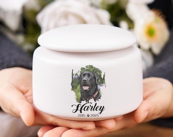 Personalized Pet Memorial Urn, Pet Memorial Gift, Urn For Pet, Pet Fur Memorial Keepsake, Pet Loss Sympathy Gift, Gift For Pet Lover