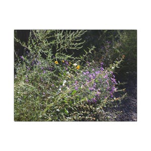 Impression sur toile d'art botanique, décoration murale, oeuvre d'art représentant la nature, décoration d'intérieur, cadeau pour les amateurs de plantes