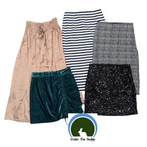Skirt Bundle Size XS 0 00 Free People J Crew Magaschoni Glam Prep Indie image 1