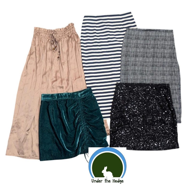 Skirt Bundle Size XS 0 00 Free People J Crew Magaschoni Glam Prep Indie image 1