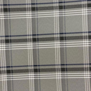 Puede incluir: Una tela gris a cuadros con rayas blancas, negras y azules.