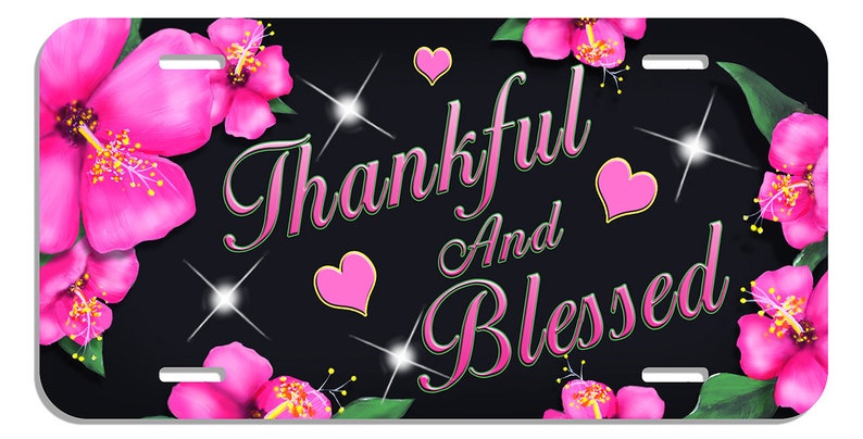 Plaque D'Immatriculation Décorative Personnalisable Fleur D'Hibiscus Rouge - Aluminium, Taille USA/Canada