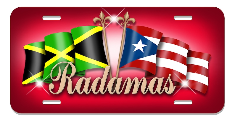 Jamaïque Porto Rico Unity Flags Plaque d'immatriculation automatique Personnaliser les cadeaux n'importe quel nom ou texte De nombreuses couleurs Latino Hispanique Jamaïcain Île Rican image 6