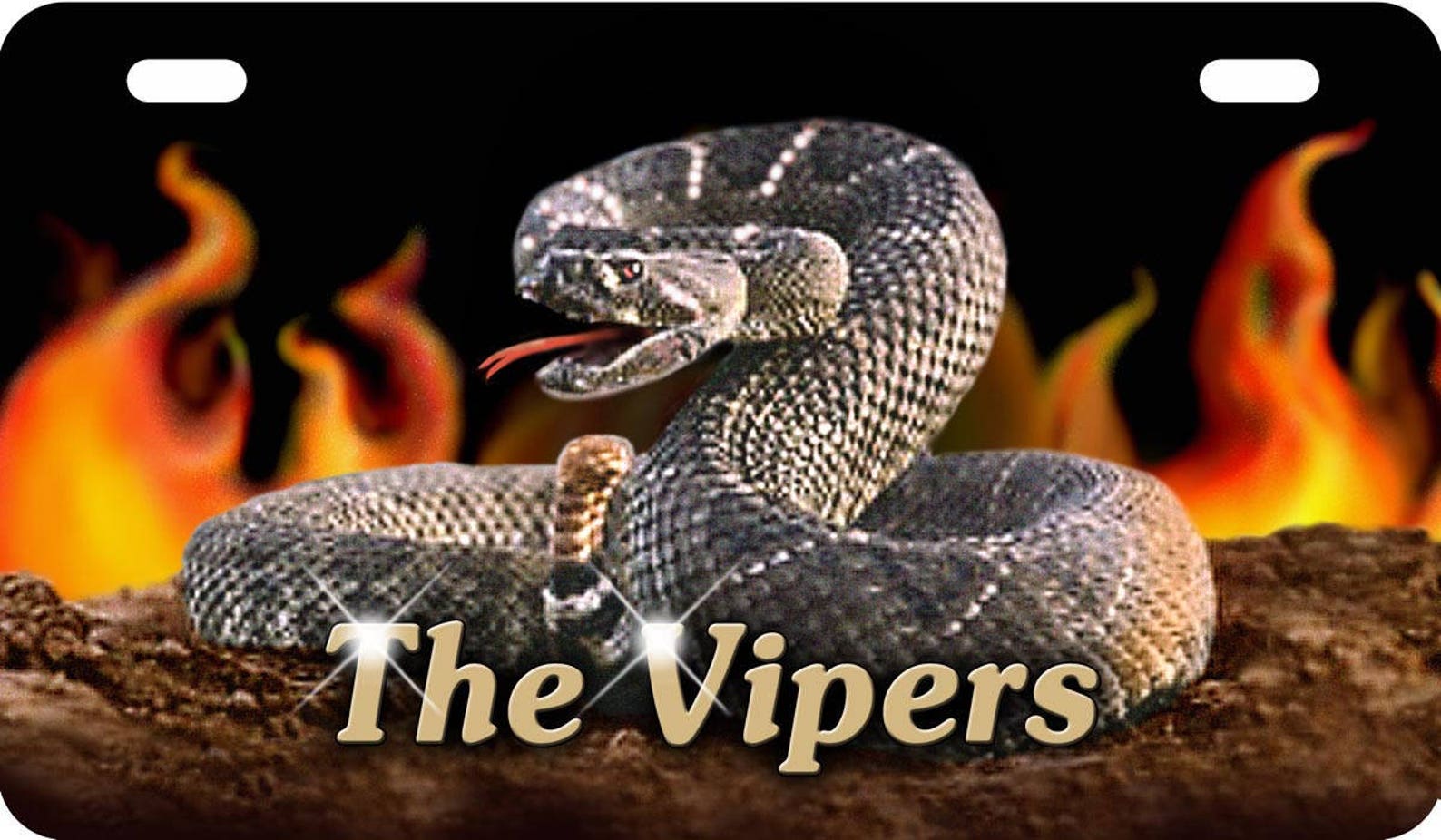 Rattler Snake Motorcycle Size License Plate Any Textname in Etsy