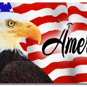 USA Flag Bicycle Bike License Plate Metal Custom Personalized Ladies American Patriotic United States Of America 2.75&quot; x 4.5&quot;