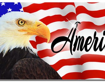 USA Flag Bicycle Bike License Plate Metal Custom Personalized Ladies American Patriotic United States Of America 2.75" x 4.5"