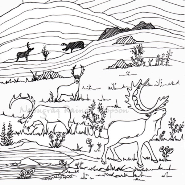 Caribou in the Mountains - Alaska Native hand drawn coloring page