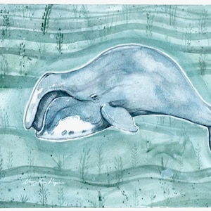 May include: Watercolour painting of a grey whale swimming in a teal ocean. The whale is shown in profile, with a large mouth and rounded body. The background features wavy lines and aquatic plants.