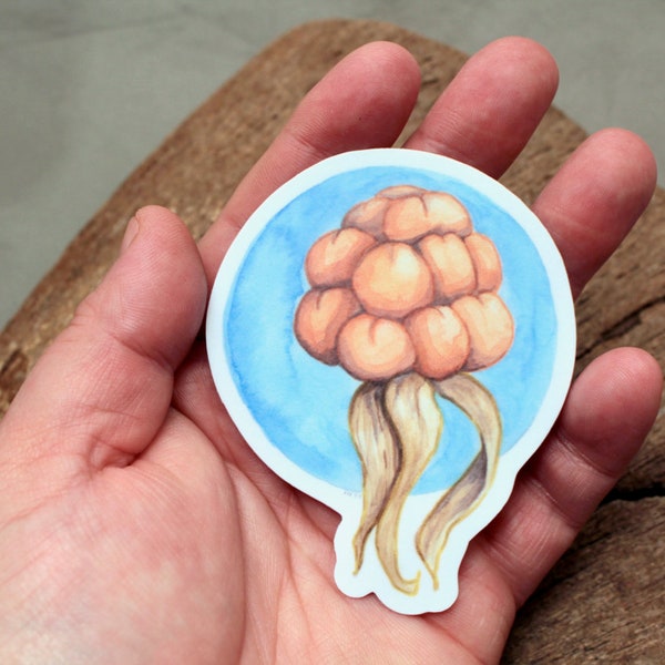 Cloudberry for me - Alaska Native Inupiaq Art Sticker