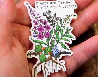 Plants are Teachers, Plants are Ancestors - Alaska Native Inupiaq Art Sticker