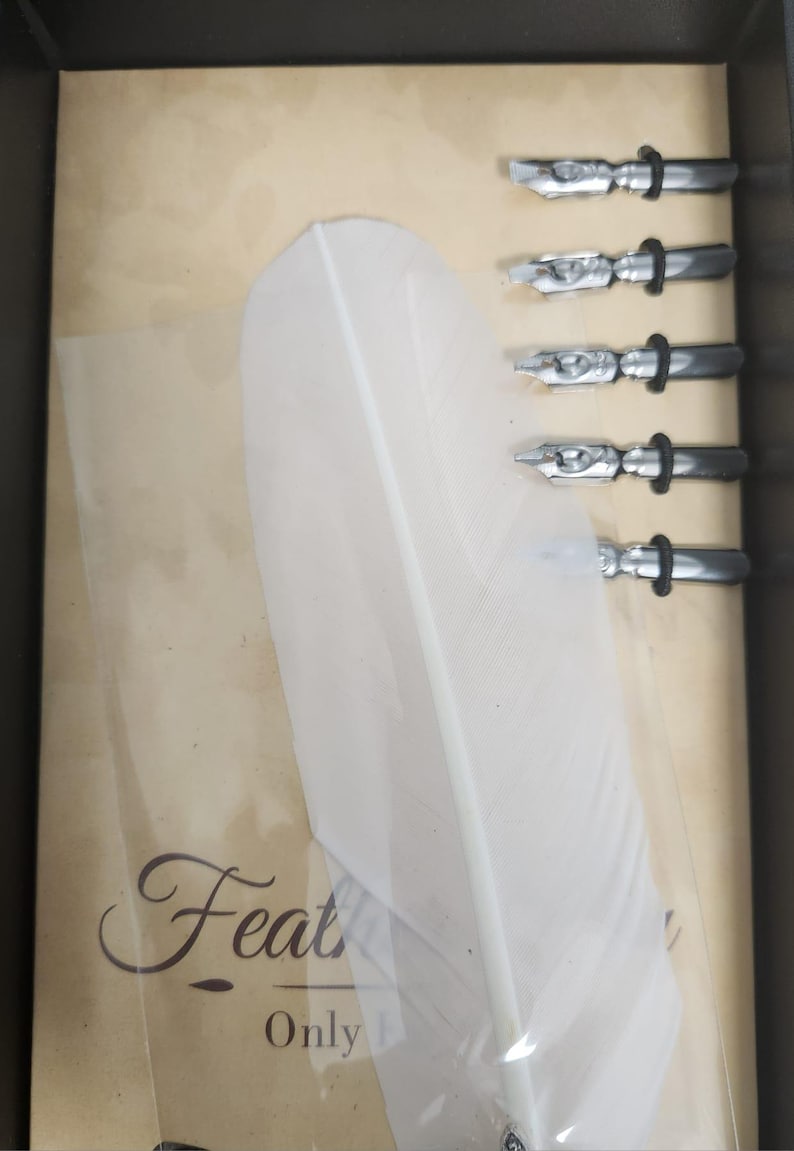 May include: A calligraphy set featuring a large white feather, four metal nibs, and the word "Feat" printed on the packaging. The set is designed for writing and drawing.