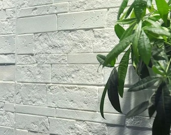 May include: White brick wall with a textured surface. A green plant is in the foreground.