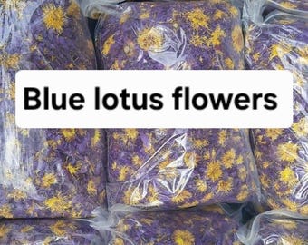Puede incluir: Múltiples bolsas de plástico transparente llenas de flores de loto azules con centros amarillos. Las bolsas están apiladas y el texto "Blue lotus flowers" está superpuesto en la imagen. La imagen también incluye un logotipo de "Nice Herbal Shop."