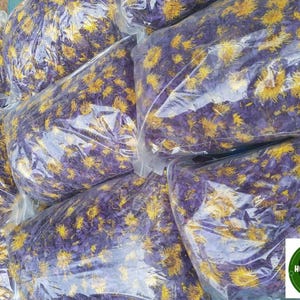 Blue Lotus Flowers Whole Flowers Nymphaea caerulea Sacred water lotusn Sacred Water Lily 100% Organic Egyptian