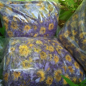 1000g Premium Organic Dried Blue Lotus Flowers | Herbal Tea | Blue Tea | Nymphaea caerulea |