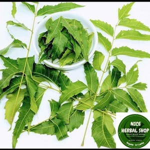 May include: A bunch of green neem leaves on a white surface. The leaves are arranged in a pile and are surrounded by a white background. There is a sticker in the lower right corner that says "NICE HERBAL SHOP HAND MADE HERBS SINCE 2020 Negombo, Sri Lanka."