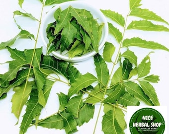 Organic Neem Leaves: Azadirachta Indica Herb, Herbal Tea