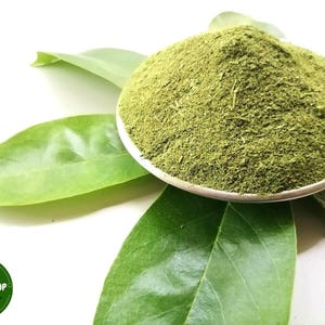 Soursop Leaves Powder for Tea Lovers - Dried Graviola Leaves - Annona Muricata Leaves powder for tea making Organic Herb