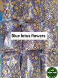Organic Blue Lotus Flowers: Sacred Water Lily - 1000g Whole Dried Flowers product logo