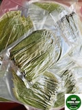 50+ Dried Soursop Leaves: Herbal Annona Muricata Tea, Guayabano Herbs product logo